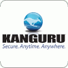 Kanguru SSD