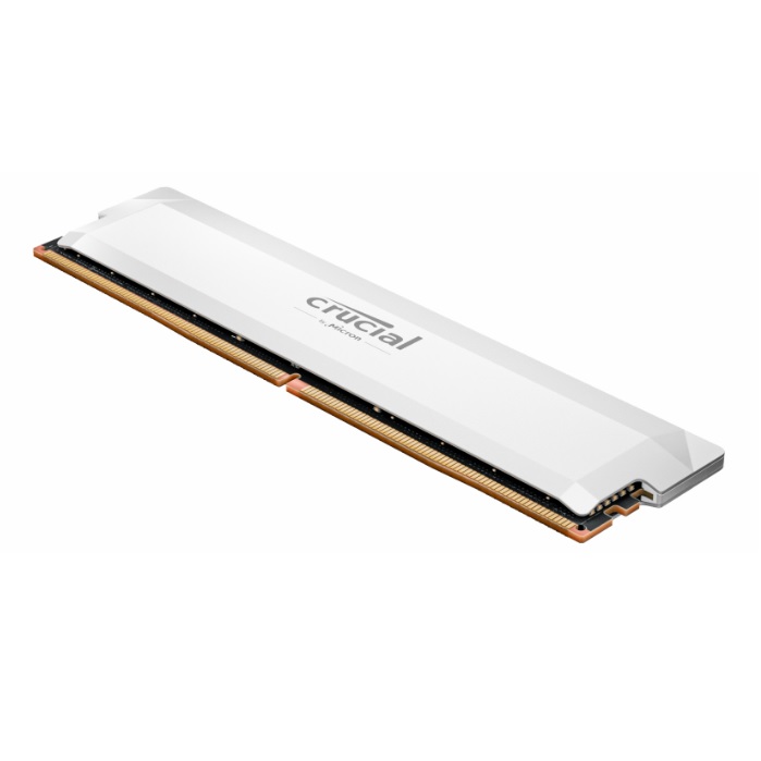 Crucial - CP16G60C36U5W - התמונה להמחשה בלבד
