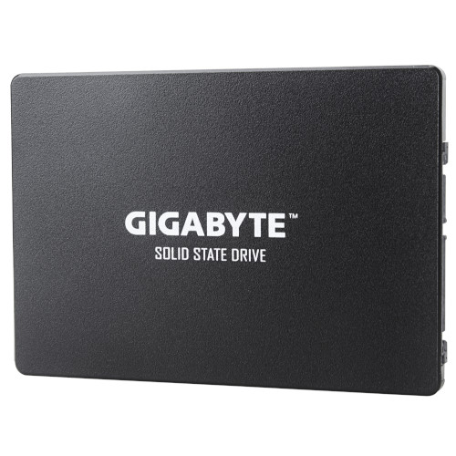 Gigabyte - GP-GSTFS31256GTND -   