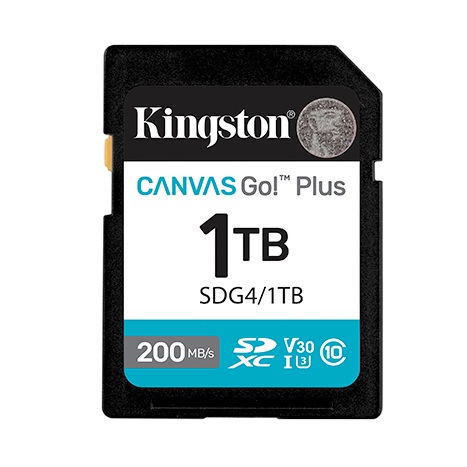 Kingston - SDG4-1TB - ������ ������ ����