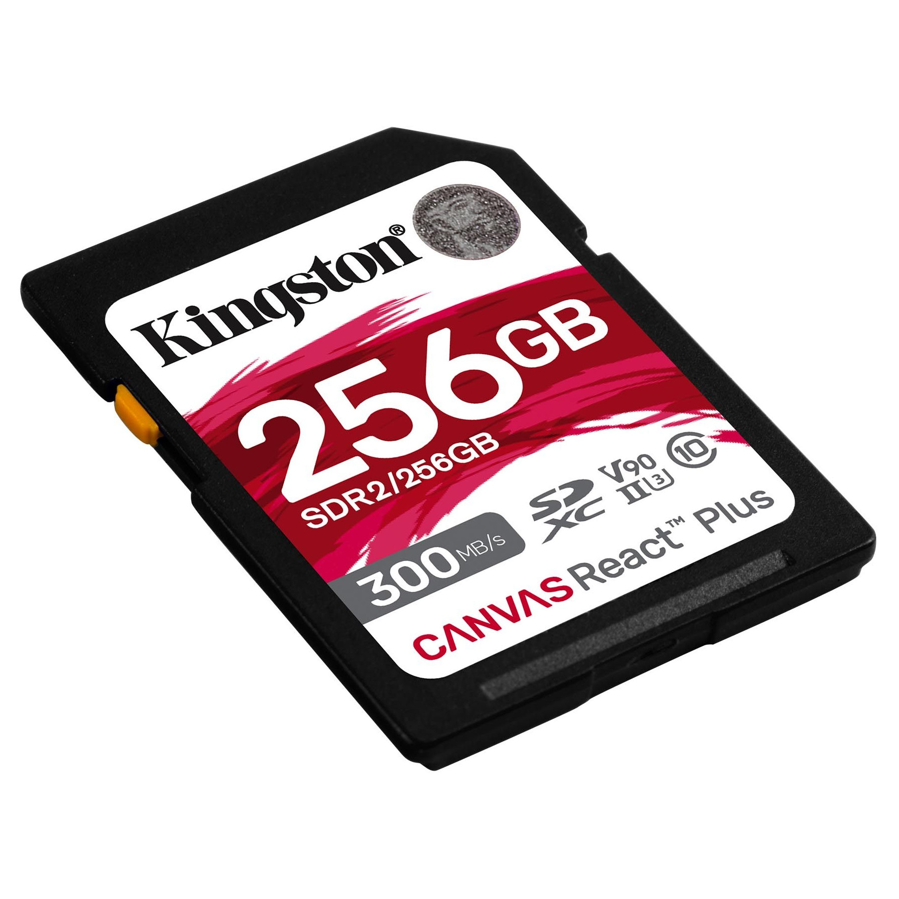 Kingston - SDR2-256GB -   