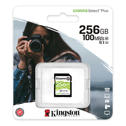 Kingston - SDS2-256GB -   